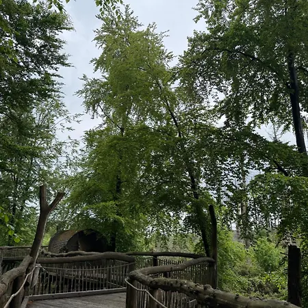 Remise An Der Rur * Monschau